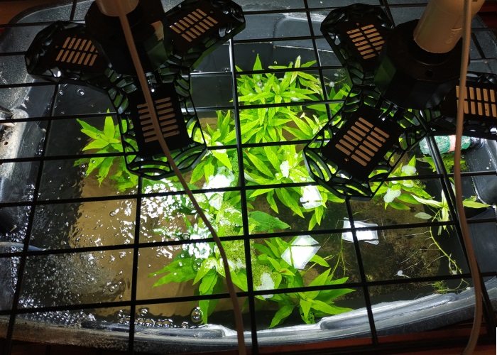 LED light on planted bin