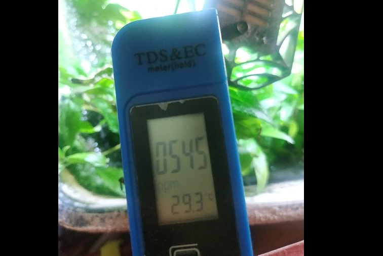 Temperature measurement